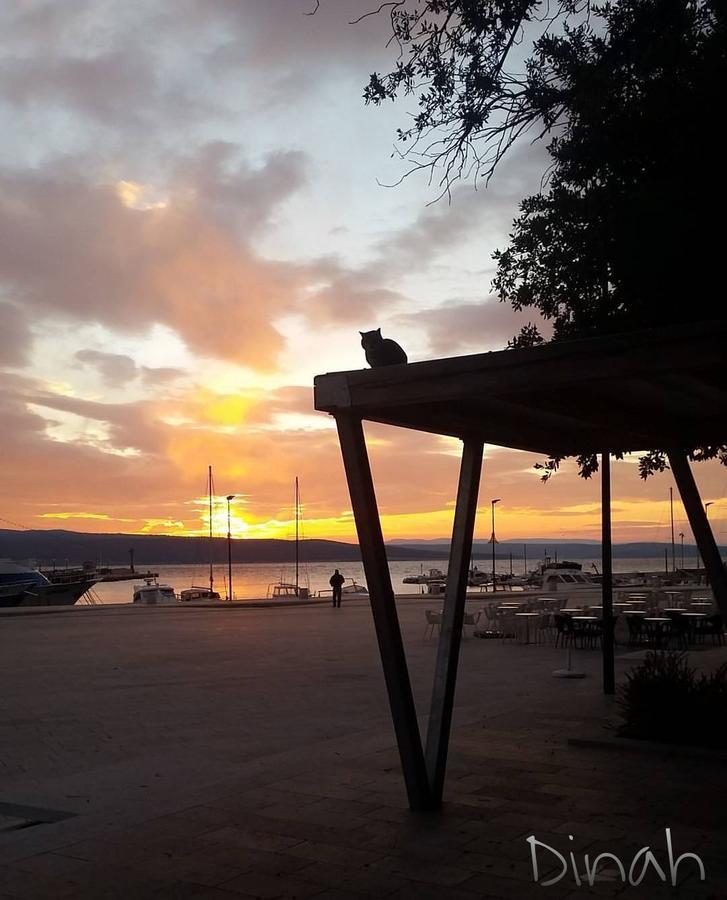 Car Apartments Crikvenica Kültér fotó